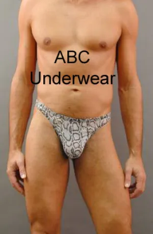 Exquisite Men's Sheer Reptile Thong for Discerning Fashion Enthusiasts
