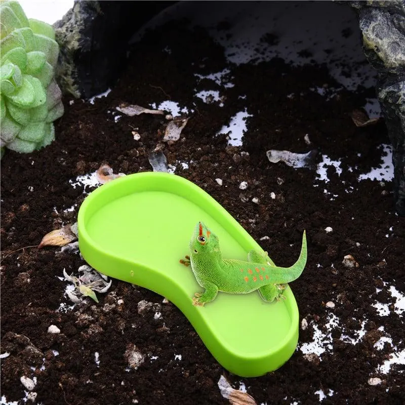 Plastic Bowl For Feeding Reptiles