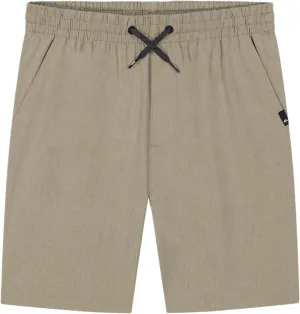 Quiksilver Boys' Eddie Pull-on Amphibian Hybrid Shorts, Water Friendly with Straight Leg Fit