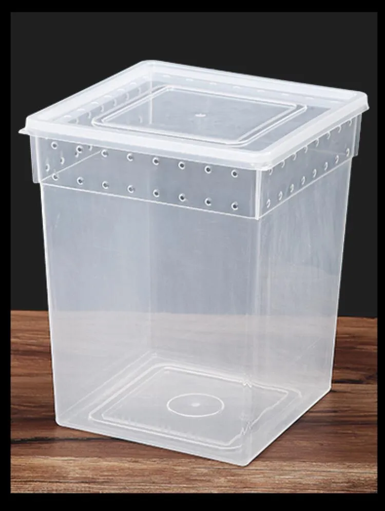 Reptile Stackable Box (Stand-Up) 20 X 20 X 25(H)cm